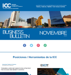 Noviembre 2020