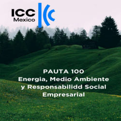 Pauta 100