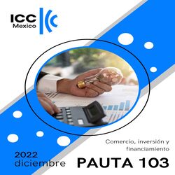 Pauta 103