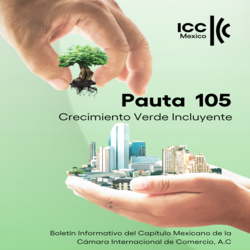 Pauta 105