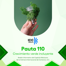 Pauta 110