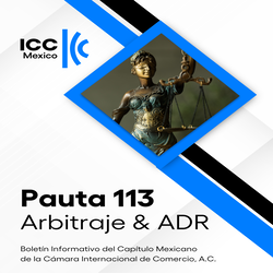 Pauta 113