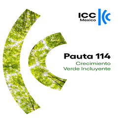 Pauta 114