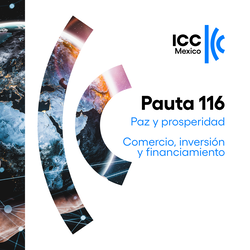 Pauta 116