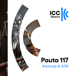 Pauta 117