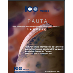 Pauta 41