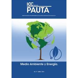 Pauta 77