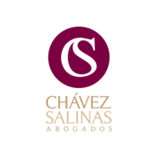 chávez salinas abogados