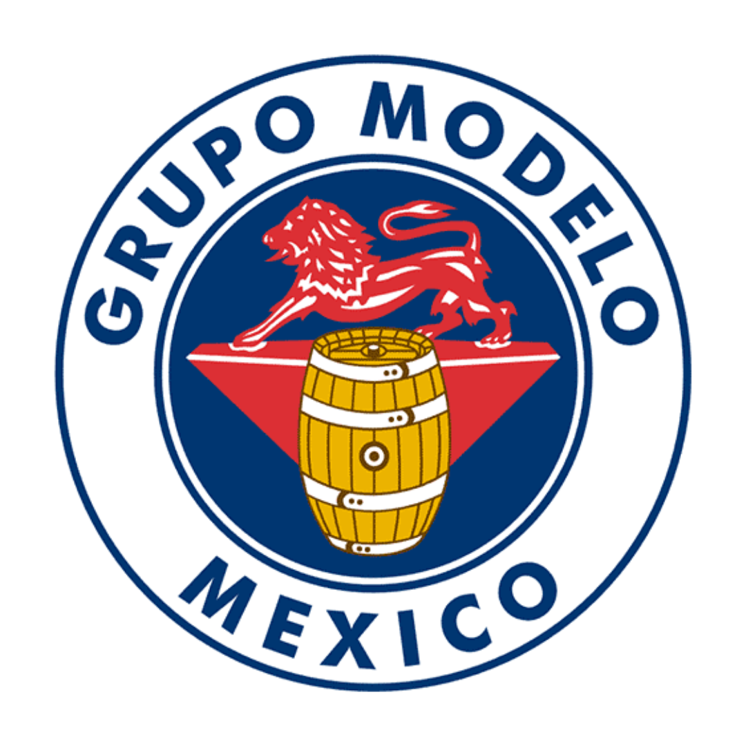 grupo modelo